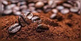 Onddoak tratatzeko kafe naturala