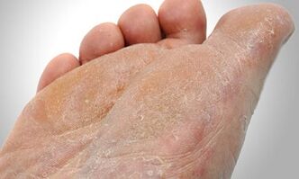 Oinez onddoen transmisio bideak