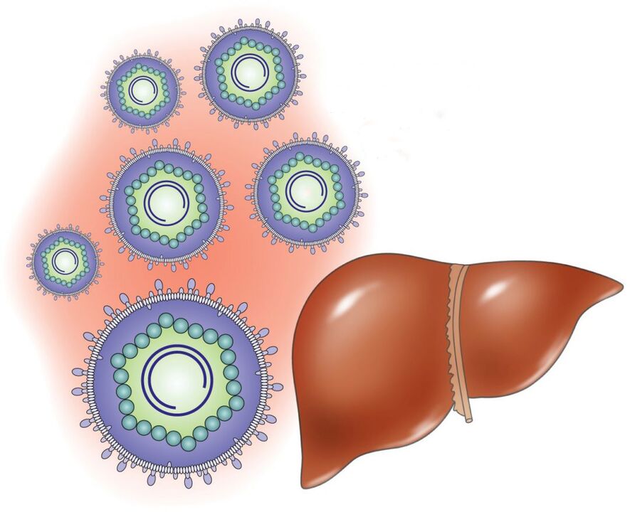 nola funtzionatzen dute barnean droga sistemikoek